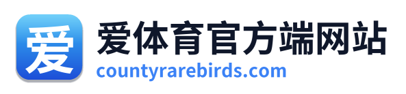 爱体育官方端网站